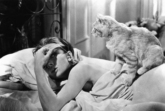 Accadeva il 24 novembre 1951