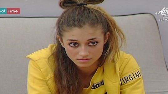 Amici 2015