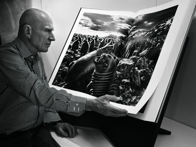 Credits: Sebastião Salgado, Pixel Square