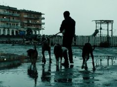 dogman Matteo Garrone Oscar