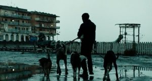 dogman Matteo Garrone Oscar