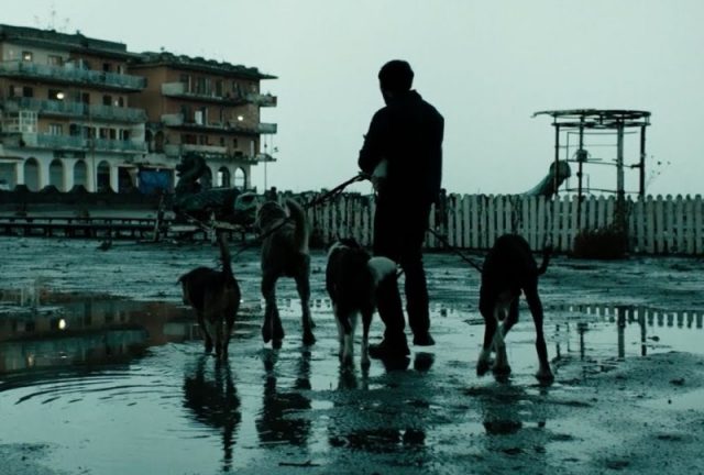 dogman Matteo Garrone Oscar