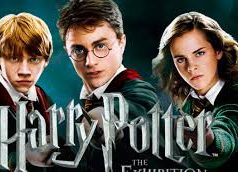 corso laurea harry potter
