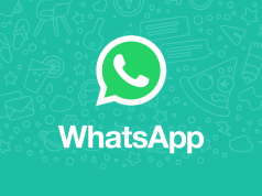 whatsapp beta