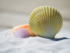 Ritorno dalle vacanze