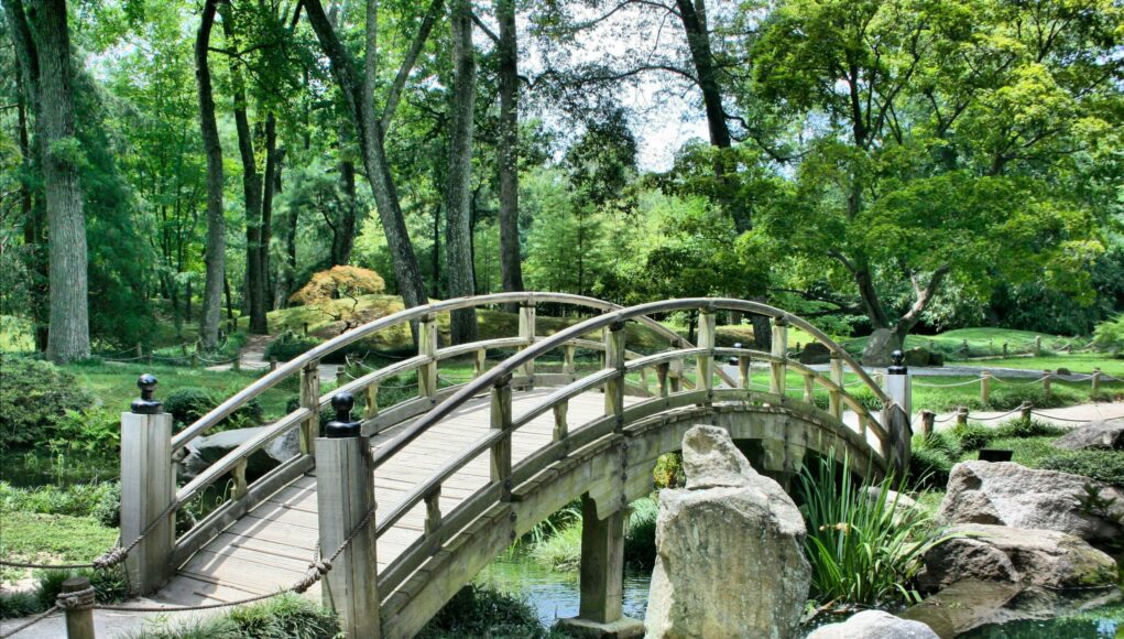 giardino